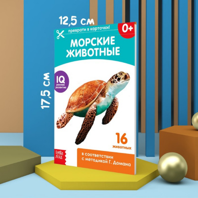 Книги «Карточки Домана. Окружающий мир», набор, 8 шт. по 20 стр.